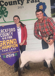 Plank Sheep Co. Winners