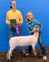 Plank Sheep Co. Winners