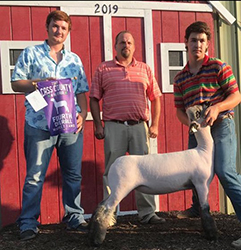 Plank Sheep Co. Winners