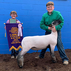 Plank Sheep Co. Winners