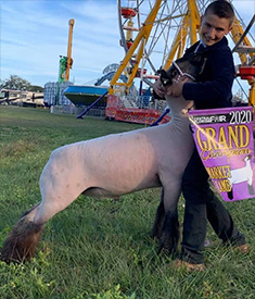 Plank Sheep Co. Winners